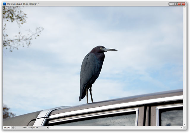 How to use Photoshop CS5 - Part 5: Photo editing Picture 9