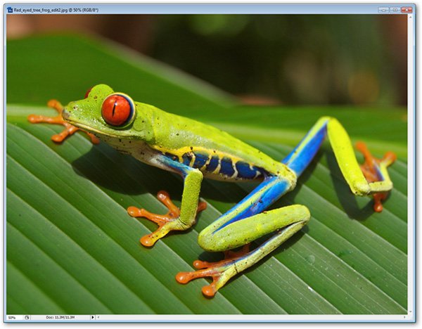 How to use Photoshop CS5 - Part 9: Delete complex backgrounds in Photoshop Picture 1