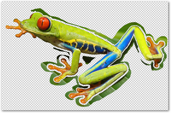 How to use Photoshop CS5 - Part 9: Delete complex backgrounds in Photoshop Picture 10