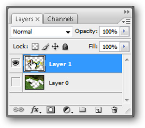How to use Photoshop CS5 - Part 9: Delete complex backgrounds in Photoshop Picture 11