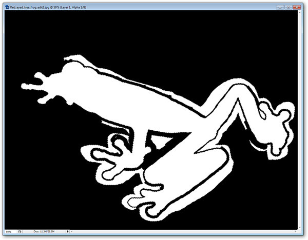 How to use Photoshop CS5 - Part 9: Delete complex backgrounds in Photoshop Picture 15