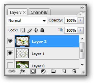 How to use Photoshop CS5 - Part 9: Delete complex backgrounds in Photoshop Picture 19
