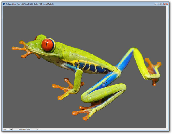 How to use Photoshop CS5 - Part 9: Delete complex backgrounds in Photoshop Picture 22