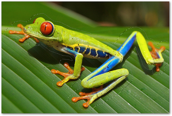 How to use Photoshop CS5 - Part 9: Delete complex backgrounds in Photoshop Picture 5