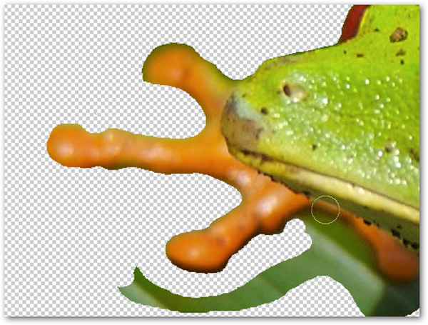 How to use Photoshop CS5 - Part 9: Delete complex backgrounds in Photoshop Picture 8