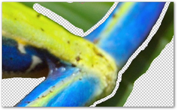 How to use Photoshop CS5 - Part 9: Delete complex backgrounds in Photoshop Picture 9