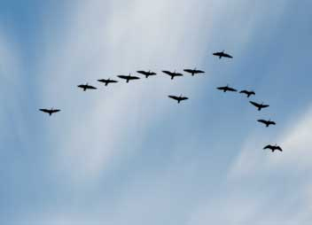 How to use Photoshop CS6 (Part 3) - Create Manipulation artwork with exposure effect Picture 22