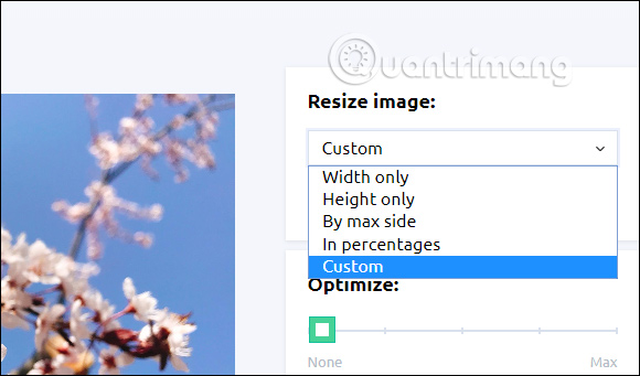 How to use Resizing online photo editing Picture 2