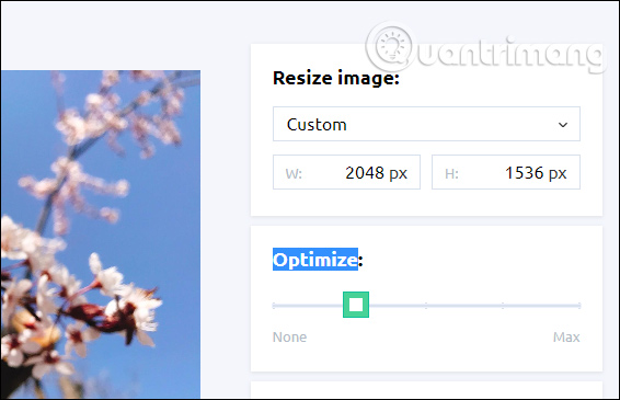How to use Resizing online photo editing Picture 3