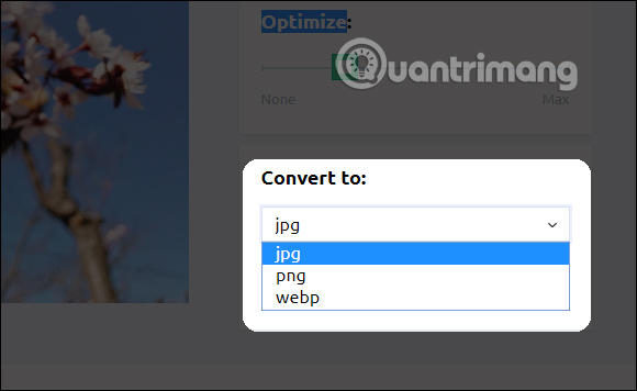 How to use Resizing online photo editing Picture 4