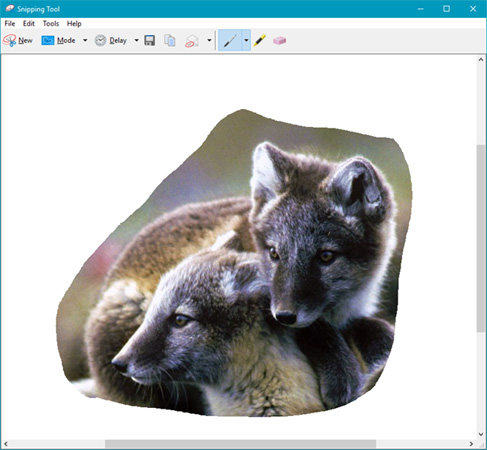 How to use Snipping Tool on Windows 10 full set Picture 10