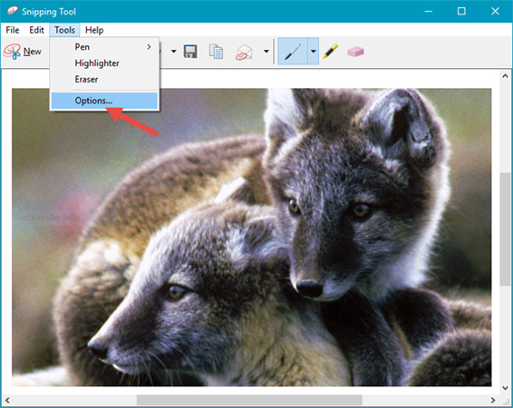 How to use Snipping Tool on Windows 10 full set Picture 15
