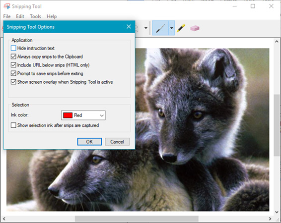 How to use Snipping Tool on Windows 10 full set Picture 16