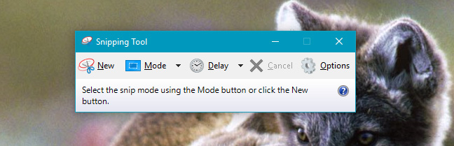 How to use Snipping Tool on Windows 10 full set Picture 5