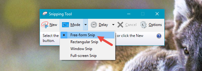 How to use Snipping Tool on Windows 10 full set Picture 8