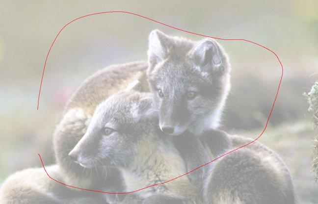 How to use Snipping Tool on Windows 10 full set Picture 9