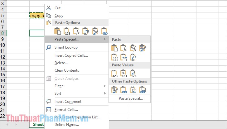 How to use the Copy Paste feature in Excel effectively? Picture 6
