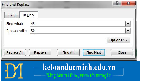 How to use the FIND and REPLACE functions in Excel? Picture 5