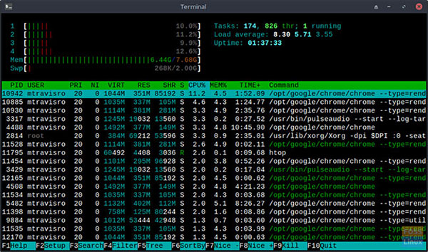 How to use the htop command to monitor system processes in real time Picture 1