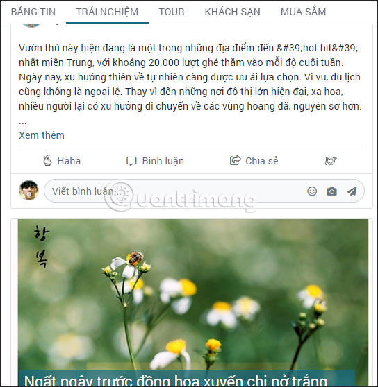 How to use the social network Hahalolo Picture 4