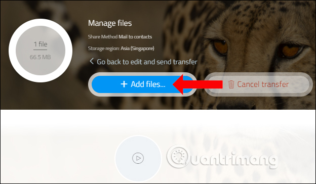 How to use TransferXL to share files online Picture 2