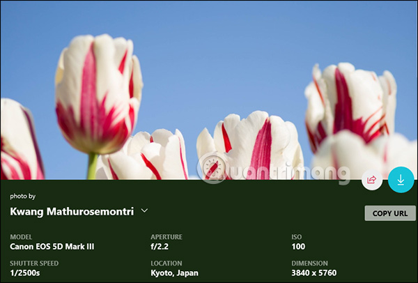 How to use WallPaper 10 to change desktop wallpaper automatically Picture 8