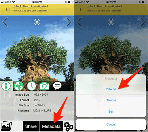 How to view EXIF ​​data of photos on iPhone, iPad Picture 4