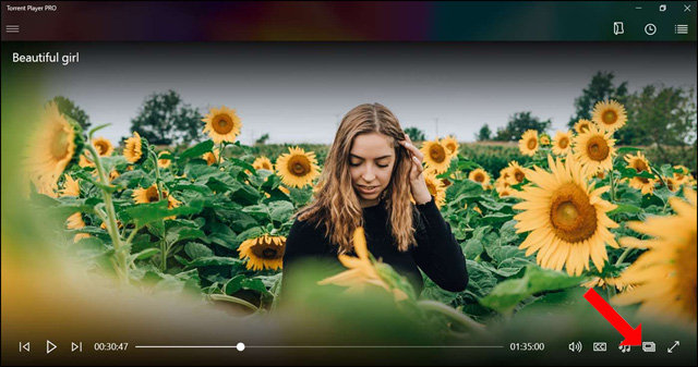 How to view torrent file contents using Torrent Player PRO Picture 2