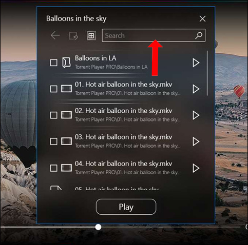 How to view torrent file contents using Torrent Player PRO Picture 4