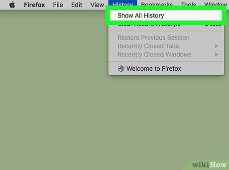 How to View Your Browser History on a Mac Picture 13