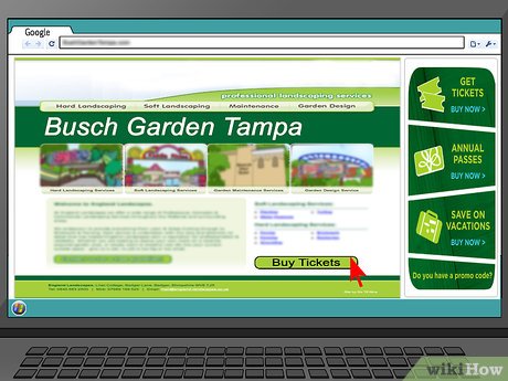 How to Visit Busch Gardens Tampa Picture 1