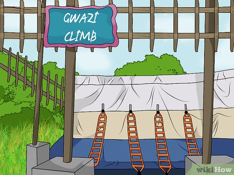 How to Visit Busch Gardens Tampa Picture 10