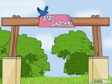 How to Visit Busch Gardens Tampa Picture 13