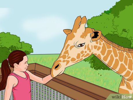 How to Visit Busch Gardens Tampa Picture 14