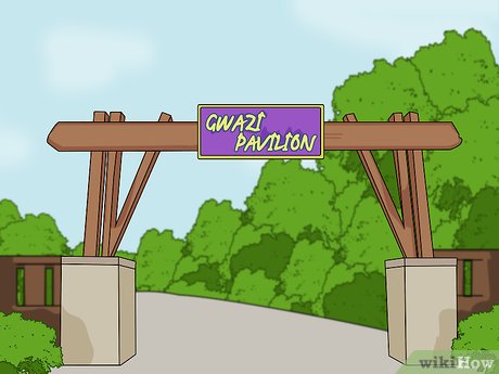 How to Visit Busch Gardens Tampa Picture 15