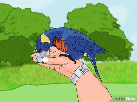 How to Visit Busch Gardens Tampa Picture 17