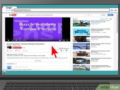 How to Visit Busch Gardens Tampa Picture 2