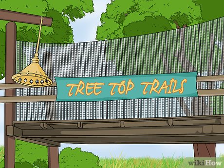 How to Visit Busch Gardens Tampa Picture 29