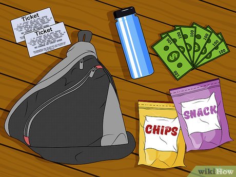 How to Visit Busch Gardens Tampa Picture 3