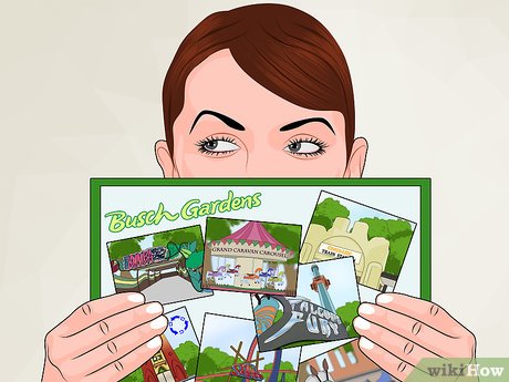 How to Visit Busch Gardens Tampa Picture 4