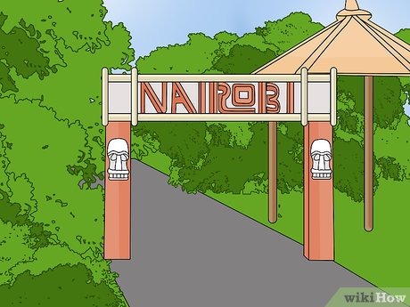 How to Visit Busch Gardens Tampa Picture 41