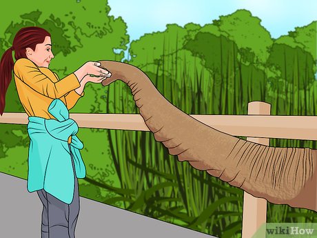 How to Visit Busch Gardens Tampa Picture 42