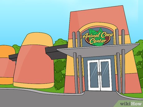 How to Visit Busch Gardens Tampa Picture 43