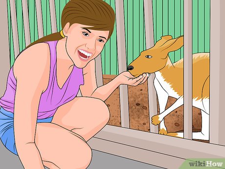 How to Visit Busch Gardens Tampa Picture 46