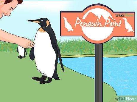 How to Visit Busch Gardens Tampa Picture 47