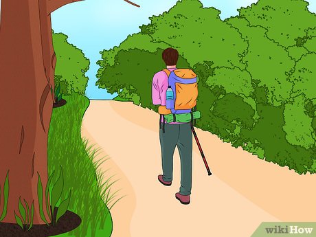 How to Visit Busch Gardens Tampa Picture 48