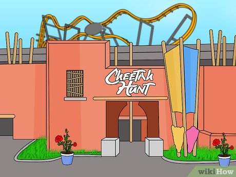 How to Visit Busch Gardens Tampa Picture 49