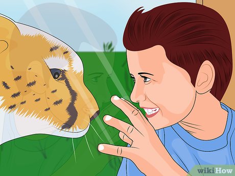 How to Visit Busch Gardens Tampa Picture 50