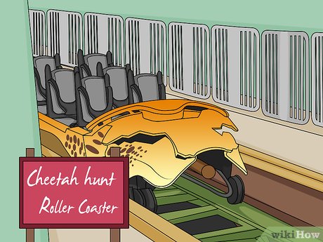 How to Visit Busch Gardens Tampa Picture 52