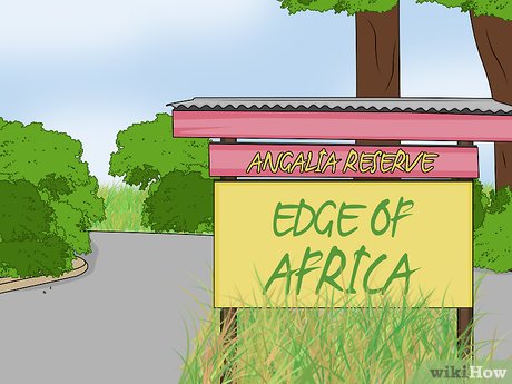 How to Visit Busch Gardens Tampa Picture 54